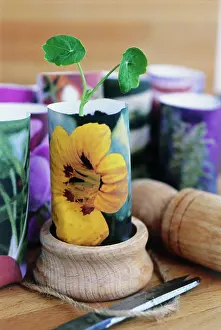 Sufficient: Nasturtium