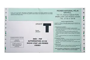 Gesture: National felin
