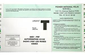 File: National feline file