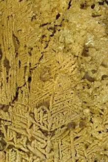 Dendritic: Natural Gold Specimen - Dendritic crystals