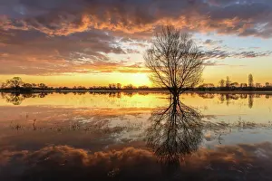 Flood: Natural mirror effect in the water of a flooded