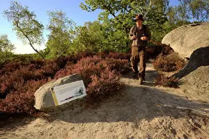 Calluna: Natural site protected by the Conservatory of natural