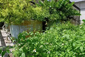 Cycling: Natural Wastewater Treatment