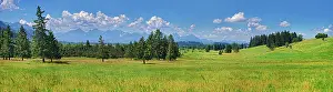 Foothills: Nature biotope with lush meadows and Ammergau Alps