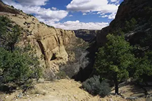 Anasazi: Navajo National Monument