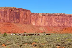 Sisters: Navajos and Horses - The Three Sisters