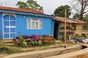 Couleur: Nayabazar, a colourful and flowery house