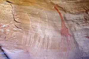 210519: Neolithic rock painting, group of giraffes, Tin