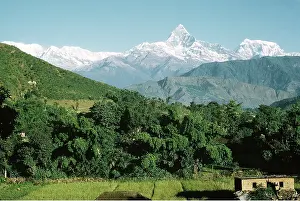 Himalayas: NEPAL - Annapurna mountain range