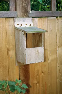 Douglas Napier: NEST BOX - OPEN FRONT