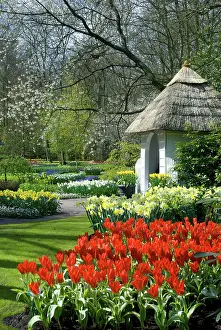 Engelbrecht: Netherlands, Holland, Lisse, Keukenhof Gardens