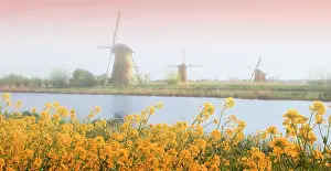 Dennis: Netherlands, Kinderdijk. Windmills next
