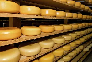 Shelf: Netherlands, North Holland, West-Frisia