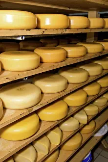Storage: Netherlands, North Holland, West-Frisia