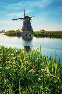 Mill: Netherlands rural landscape with windmills at famous