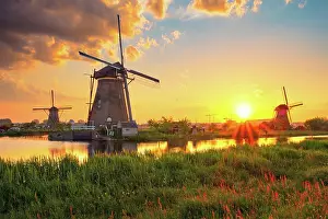 Mill: Netherlands rural landscape with windmills at famous