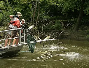 Workers: Netting Alien Carp