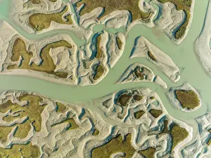 Channels: Network of channels and streams at low tide. In