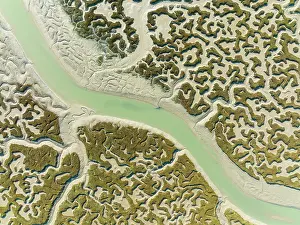 Channels: Network of channels and streams at low tide. In