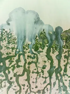 Channels: Network of channels and streams at low tide at their