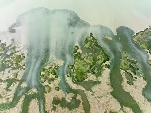 Channels: Network of channels and streams at low tide at their