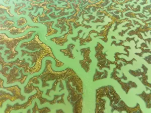 Channels: Network of channels and streams at low tide. In