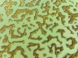 Channels: Network of channels and streams at low tide. In