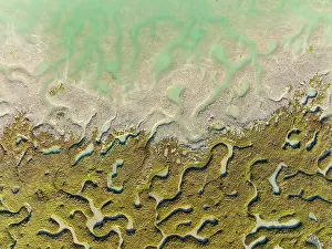 Channels: Network of channels and streams at low tide. In