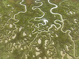 Tide: Network of channels and streams at low tide. In