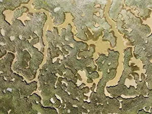 Tide: Network of channels and streams at low tide. In
