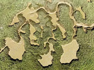 Tide: Network of channels and streams at low tide. In