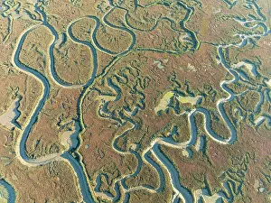 Tide: Network of channels and streams at low tide. In