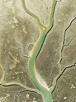 Tide: Network of channels and streams at low tide in the