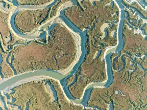 Tide: Network of channels and streams at low tide. In
