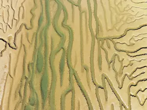Tide: Network of channels and streams at low tide. In