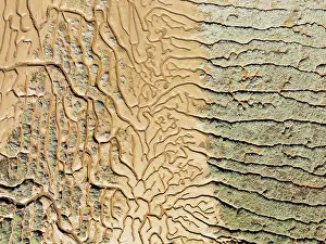 Tide: Network of channels and streams at low tide. In