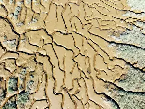 Tide: Network of channels and streams at low tide. In