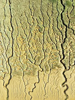 Tide: Network of channels and streams at low tide. In