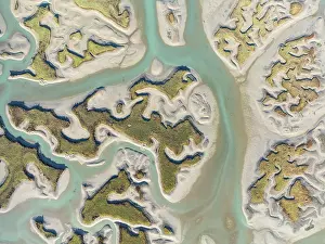 Meandering: Network of channels and streams at low tide