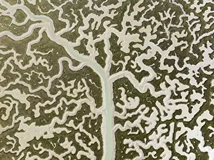 Meandering: Network of channels and streams at low tide