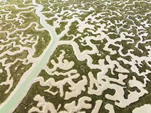 Meandering: Network of channels and streams at low tide