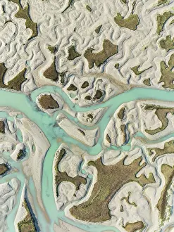 Meandering: Network of channels and streams at low tide