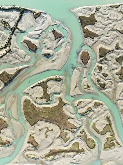 Meandering: Network of channels and streams at low tide