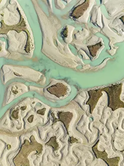 Meandering: Network of channels and streams at low tide