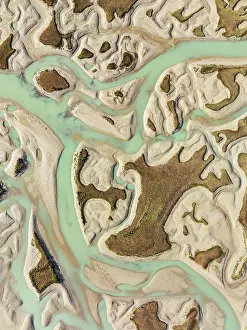 Meandering: Network of channels and streams at low tide