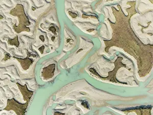 Meandering: Network of channels and streams at low tide
