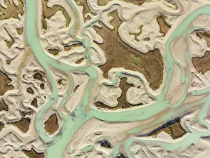 Meandering: Network of channels and streams at low tide