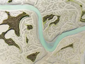 Meandering: Network of channels and streams at low tide