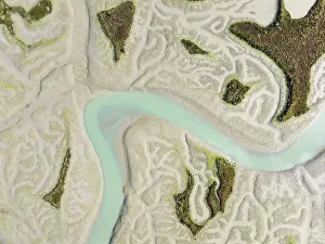 Meandering: Network of channels and streams at low tide