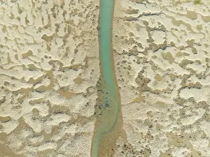 Meandering: Network of channels and streams at low tide